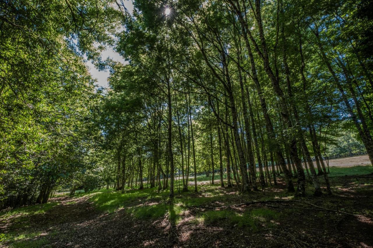 ホテル Domaine De Malouzies Fonties-Cabardès エクステリア 写真