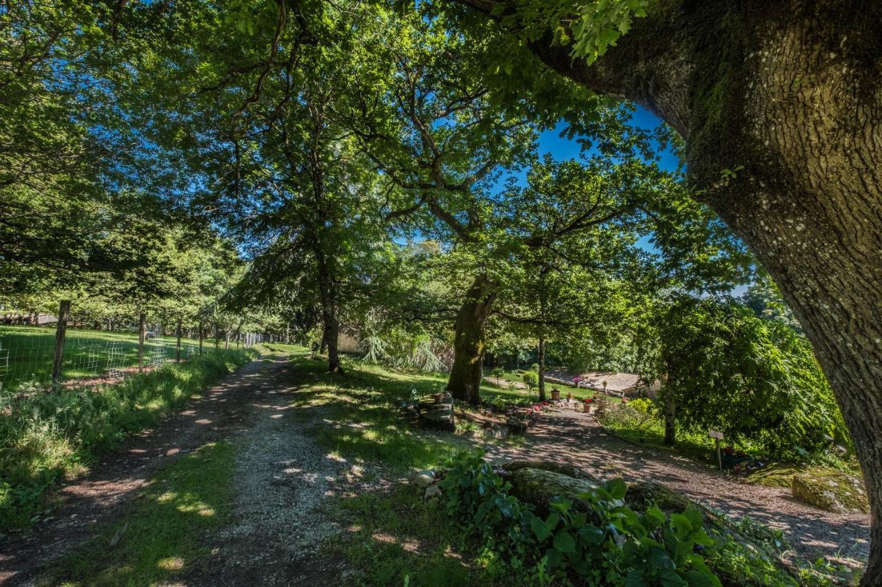 ホテル Domaine De Malouzies Fonties-Cabardès エクステリア 写真