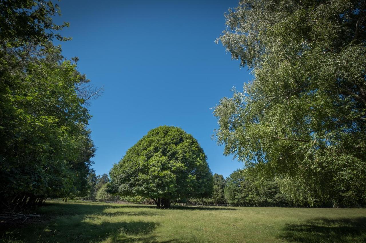 ホテル Domaine De Malouzies Fonties-Cabardès エクステリア 写真